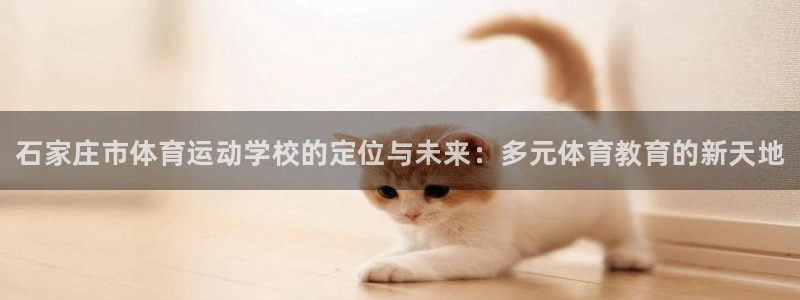 3377体育官方正版app集团:石家庄市体育运动学校的定位与