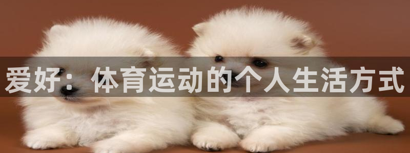 3377体育官方集团官网:爱好:体育运动的个人生活方式