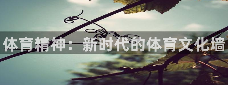 3377体育官方正版app集团E.ON:体育精神:新时代的体
