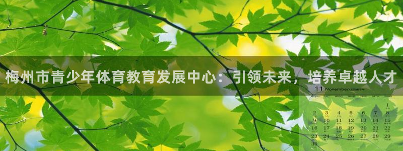 3377体育官网下载平台:梅州市青少年体育教育发展中心:引领