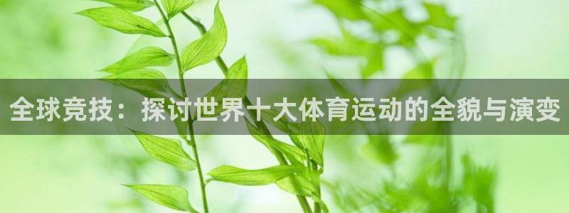 3377体育官网下载软件:全球竞技:探讨世界十大体育运动的全